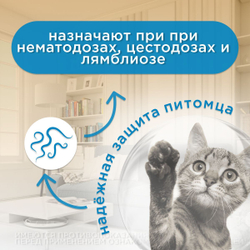 Суспензия от гельминтов и лямблий, профилактика дирофиляриоза для кошек Фенпраз Форте, 5мл.