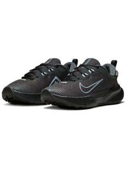 Кроссовки Nike Pegasus Trail 4 Gtx Waterproof 'Black' Women's