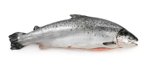 Лосось 6-7 кг