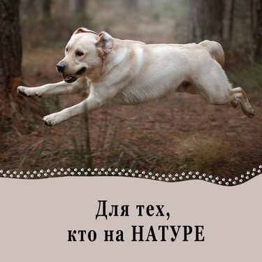 Натуральное питание у собак.