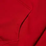 Худи ZNY COL LOGO SS22 Красный