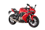 QJMOTOR SRK 600 RC