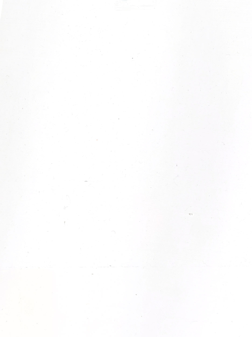 Масляная краска Белила титановые нежелтеющие 40 мл