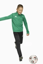 Кофта adidas Entrada 26 Training Top Junior - зеленый