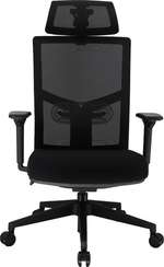 Эргономичное кресло Everprof Fuji Сетка Черный