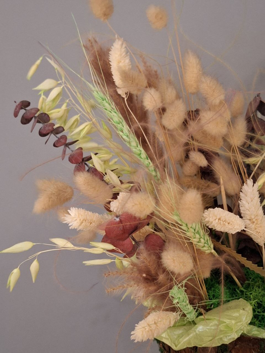 Композиция из сухоцетов