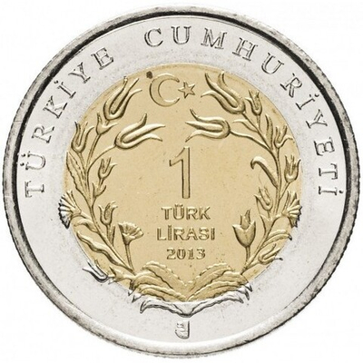 Тюлень-Монах