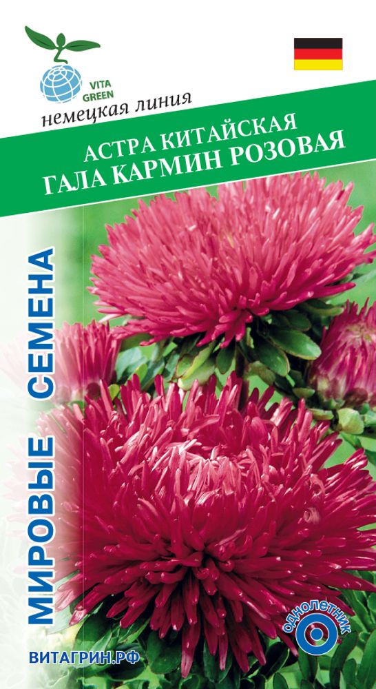 Астра китайская Гала Кармин Розовая 15шт Мировые Семена VITA GREEN