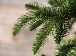 Елка Нормандия 185 см., 100% литая хвоя, Triumph Tree (72080)