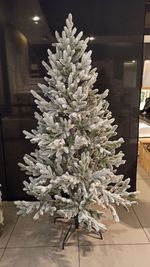 Ель заснеженная «Нордман» (Литая хвоя) от 1.2 до 2.4 м