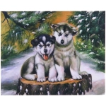 Алмазная мозаика на подрамнике с полным заполнением «МИР ЯРКИХ КРАСОК», щенки хаски, 30*40см