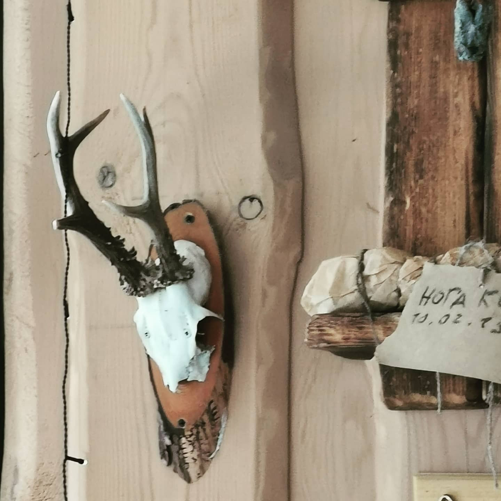 Грифон
