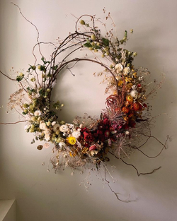 Весенний клуб "Ботаника. Контраст". Градиент