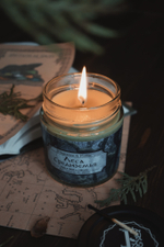 Леса Средиземья