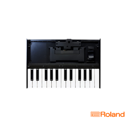 Roland Boutique K-25m