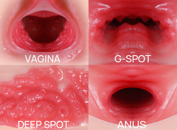 Kokos Maria Onahole Real Vagina - Мастурбатор полуторс с двойным слоем материала с вибрацией