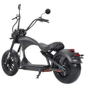 Mangosteen M1P 60V2000W30A