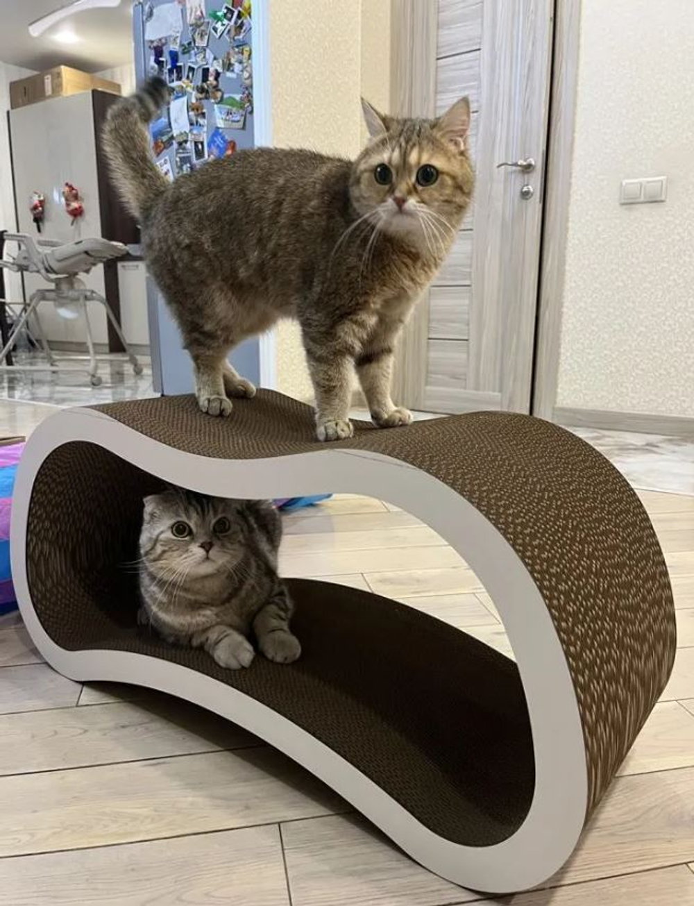 Когтеточка лежанка картонная двухсторонняя #04