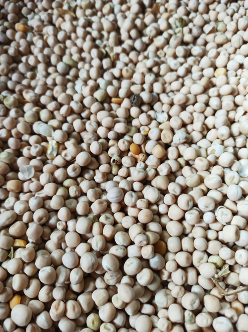 Горох цельный 5 кг