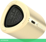 Портативная колонка Tronsmart Nimo Noble Gold