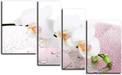 Модульная картина " Белая орхидея"