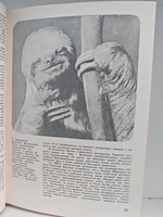 Мир животных. Рассказы о зверях крылатых, бронированных, ластоногих, трубкозубых, зайцеобразных, китообразных и человекообразных...