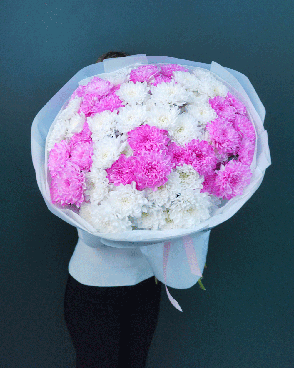 Хризантема кустовая белая и розовая,15шт(00442)