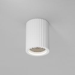 Светильник потолочный Maytoni   C121CL-GU10-W