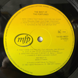 Винтажная виниловая пластинка LP The Fortunes The Best Of (Holland 1982) Seasons In The Sun