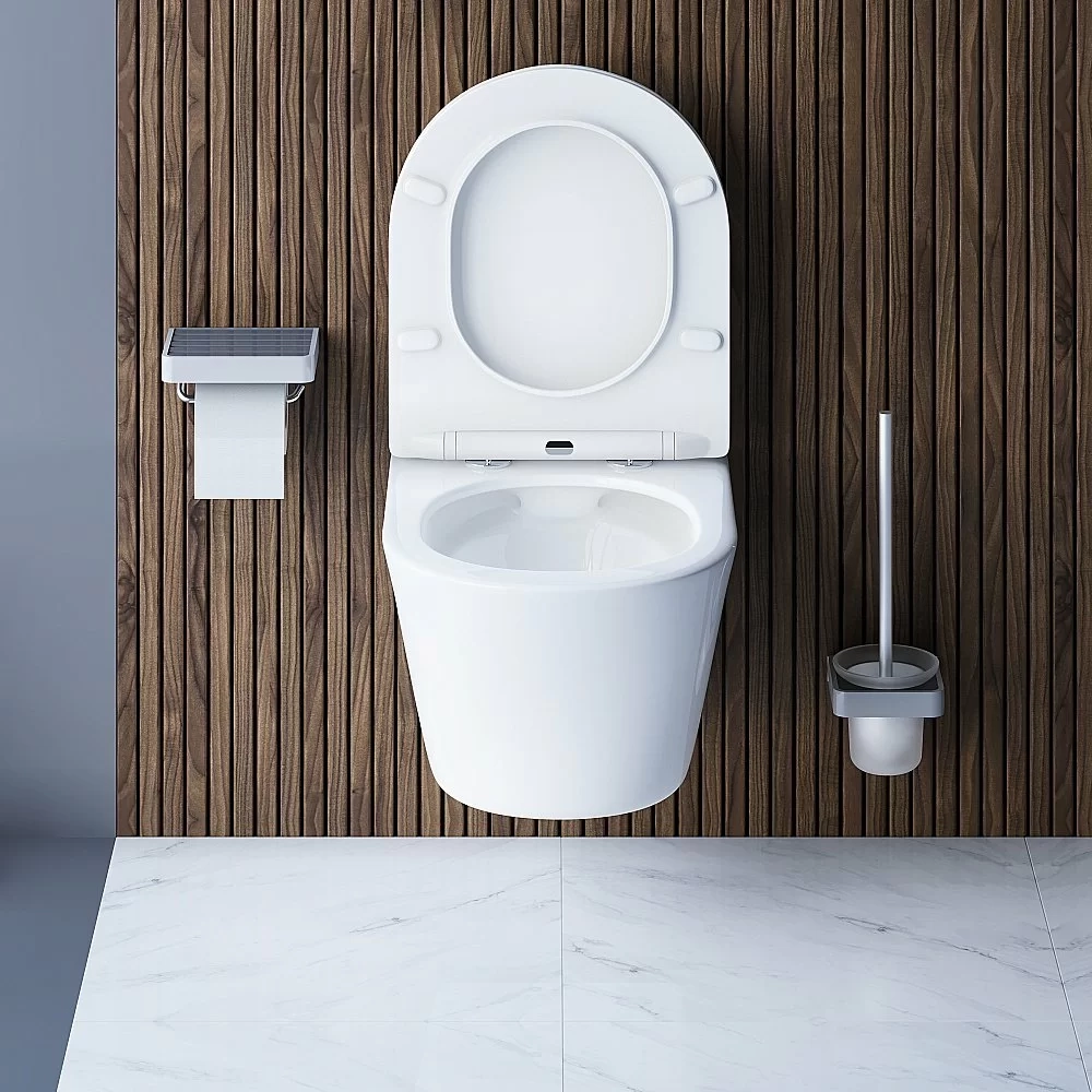 Унитаз подвесной Damixa Skyline DX35C1700SC белый, с крышкой микролифт, безободковый