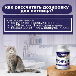 Уро-Урси упаковка, 90 капсул