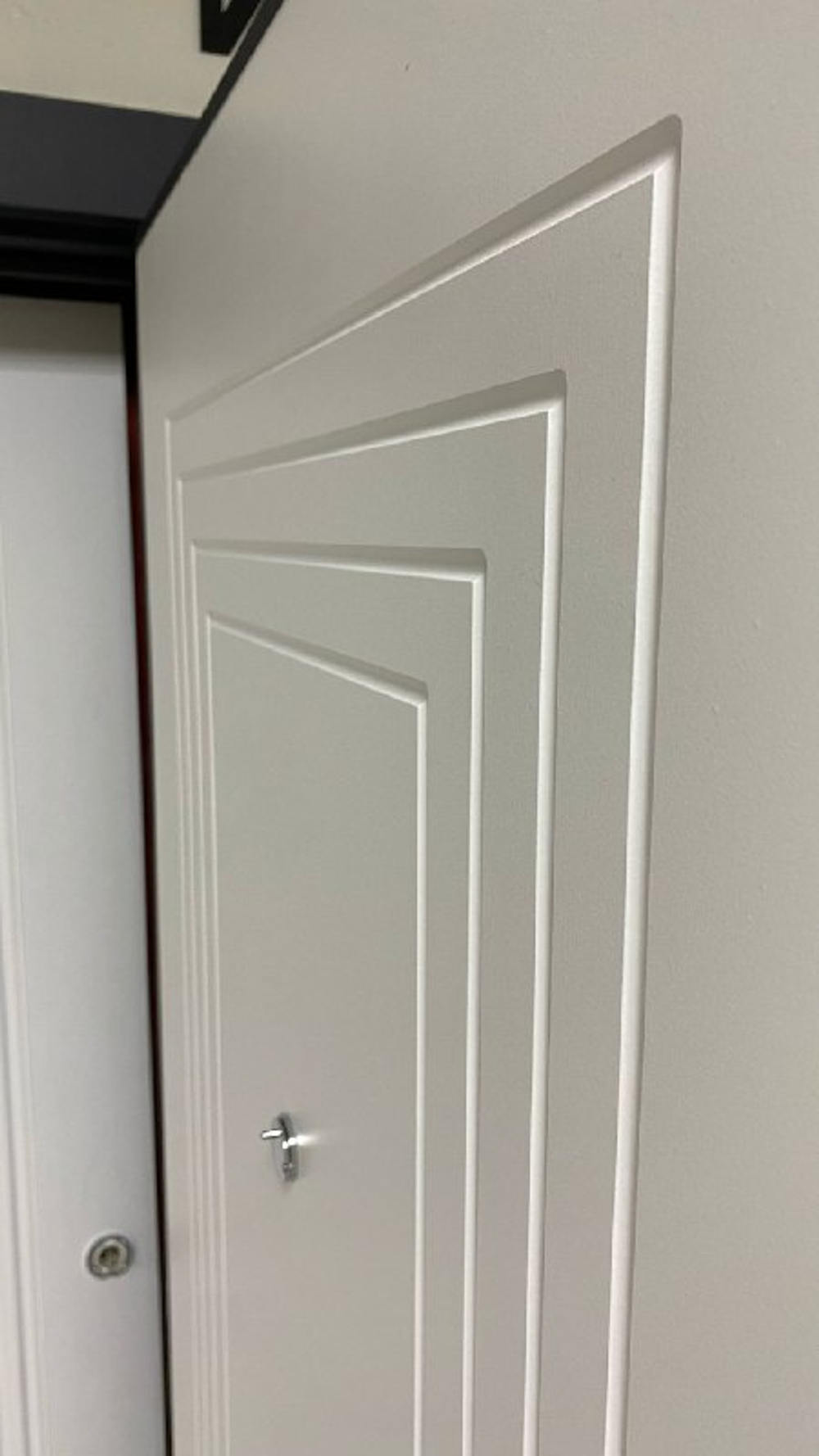 Дверь входная Сидней