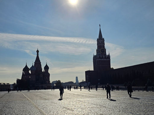 Знакомство с Москвой: Александровский сад и Красная площадь