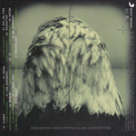 Kings Of Leon / The Collection Box (5CD+DVD)