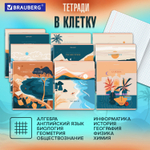 Тетради предметные комплект 12 ПРЕДМЕТОВ 48 л. SoftTouch фольга BRAUBERG "ELEGANCE" (2 штуки в упаковке)