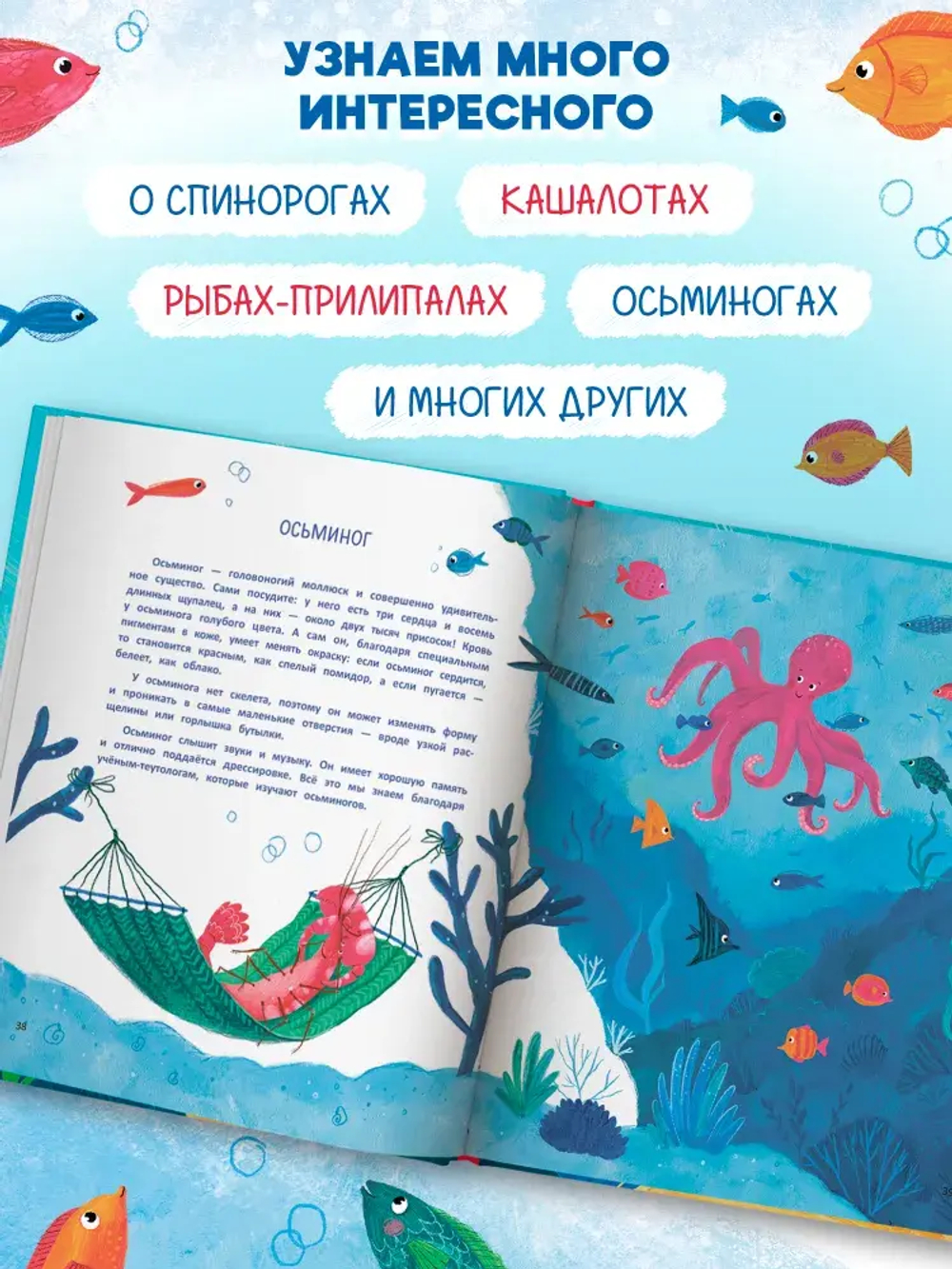 Супер-Клешня. Герой рифа