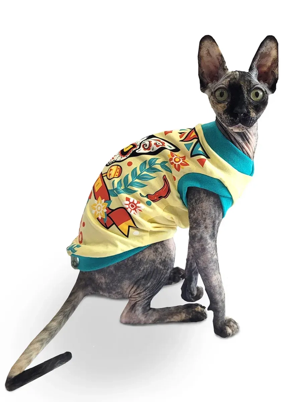 Одежда для кошек сфинкс