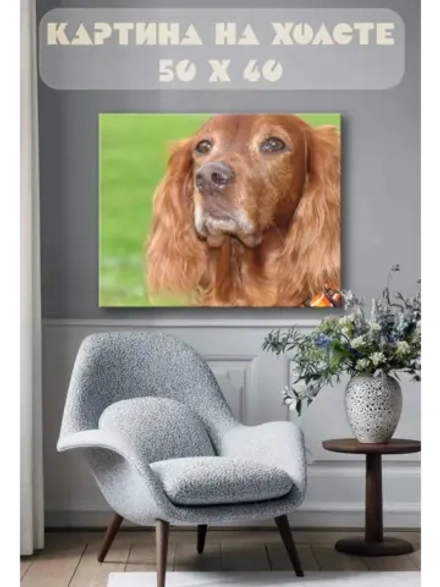 Картина на стену 40 X 50 Собака