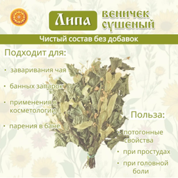 Липа веничек, 1 шт. ЛИПЧ-00-001