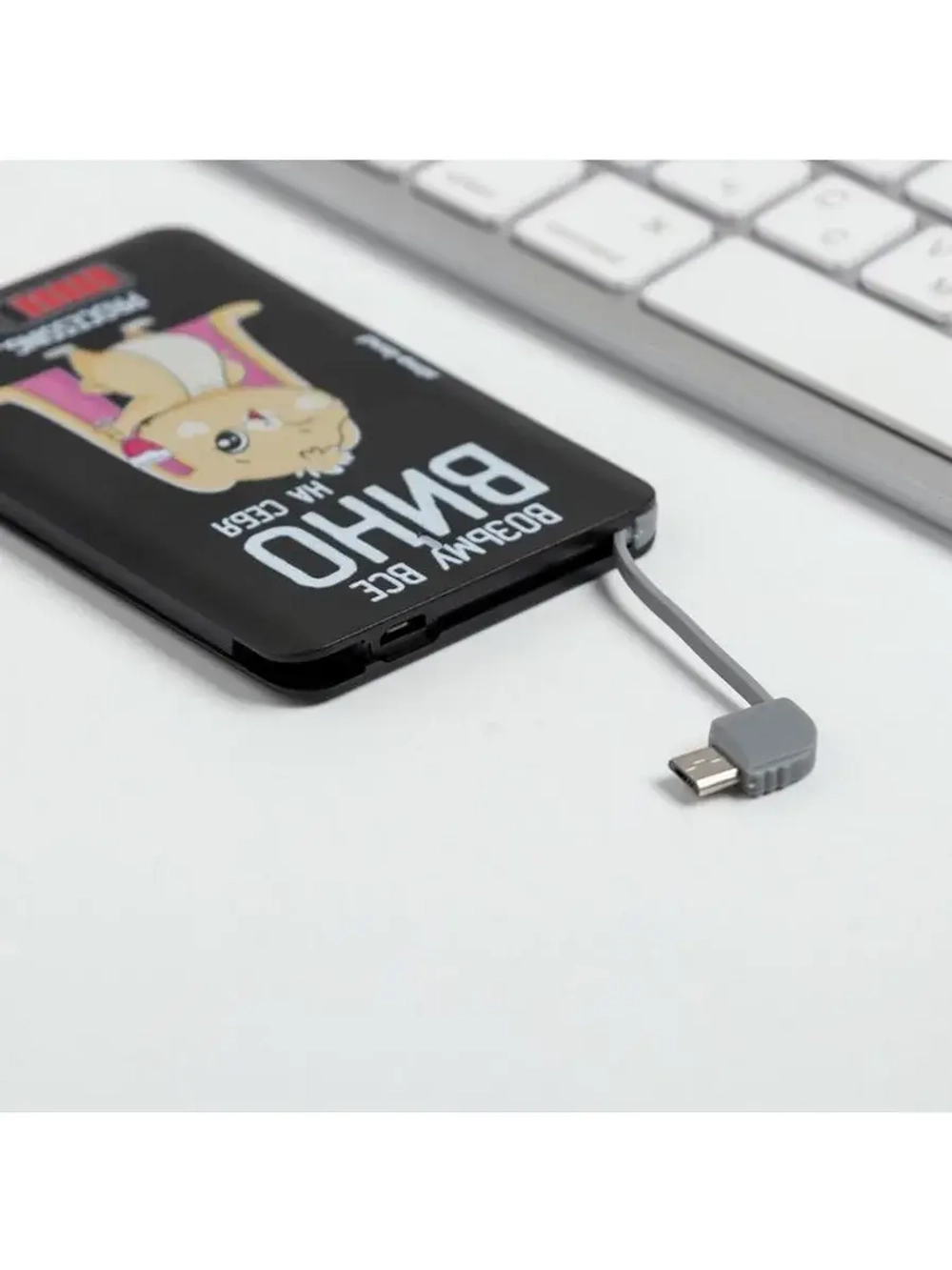 Зарядное устройство «Возьму все вино на себя», 2500 mAh, 6 х