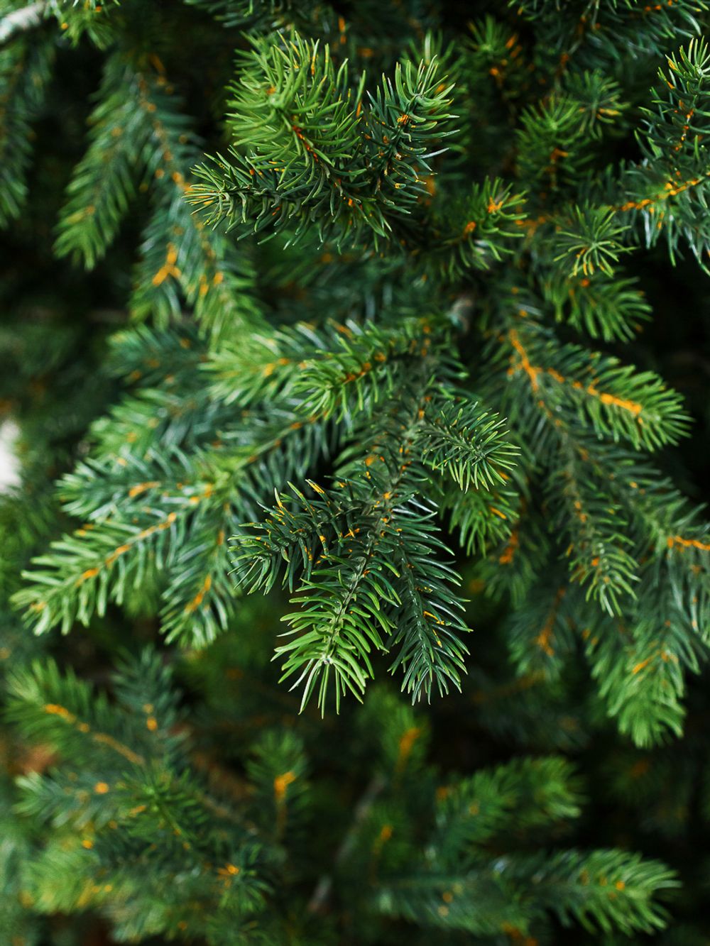 Ель искусственная «Бавария» (Литая хвоя) 210 см / 2.1 м