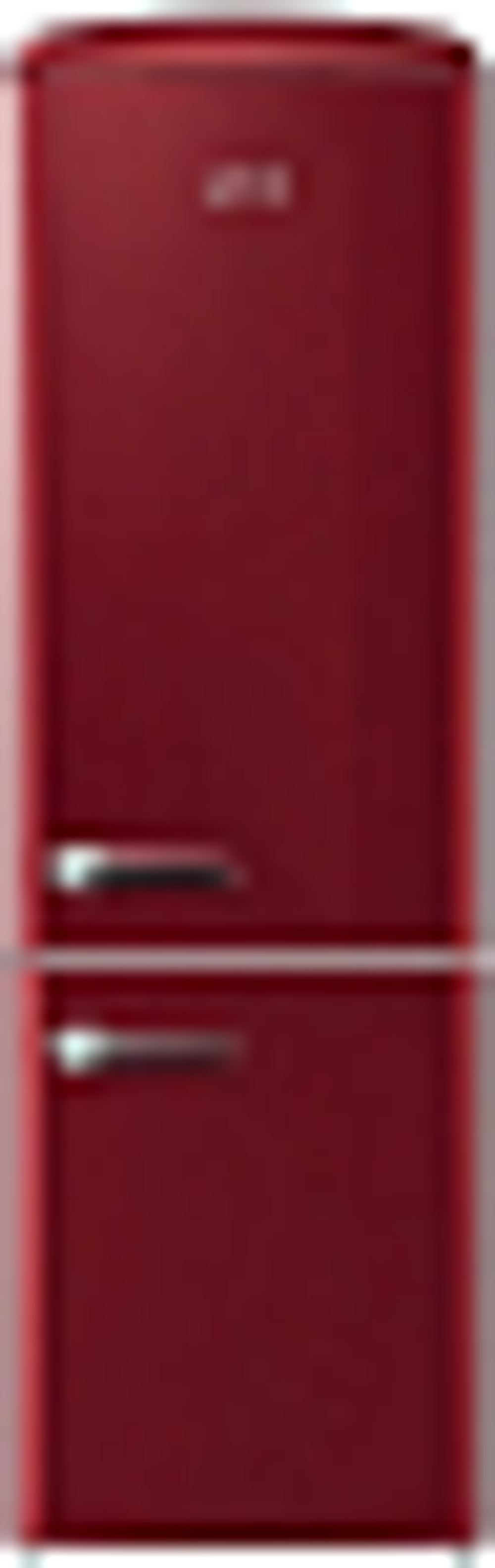 Отдельностоящий двухкамерный холодильник Gorenje ORK192R