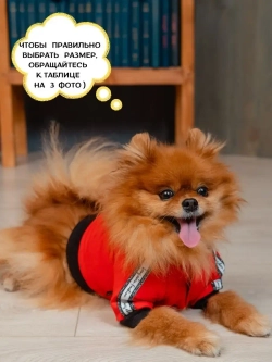 Спортивный комбинезон костюм для собак