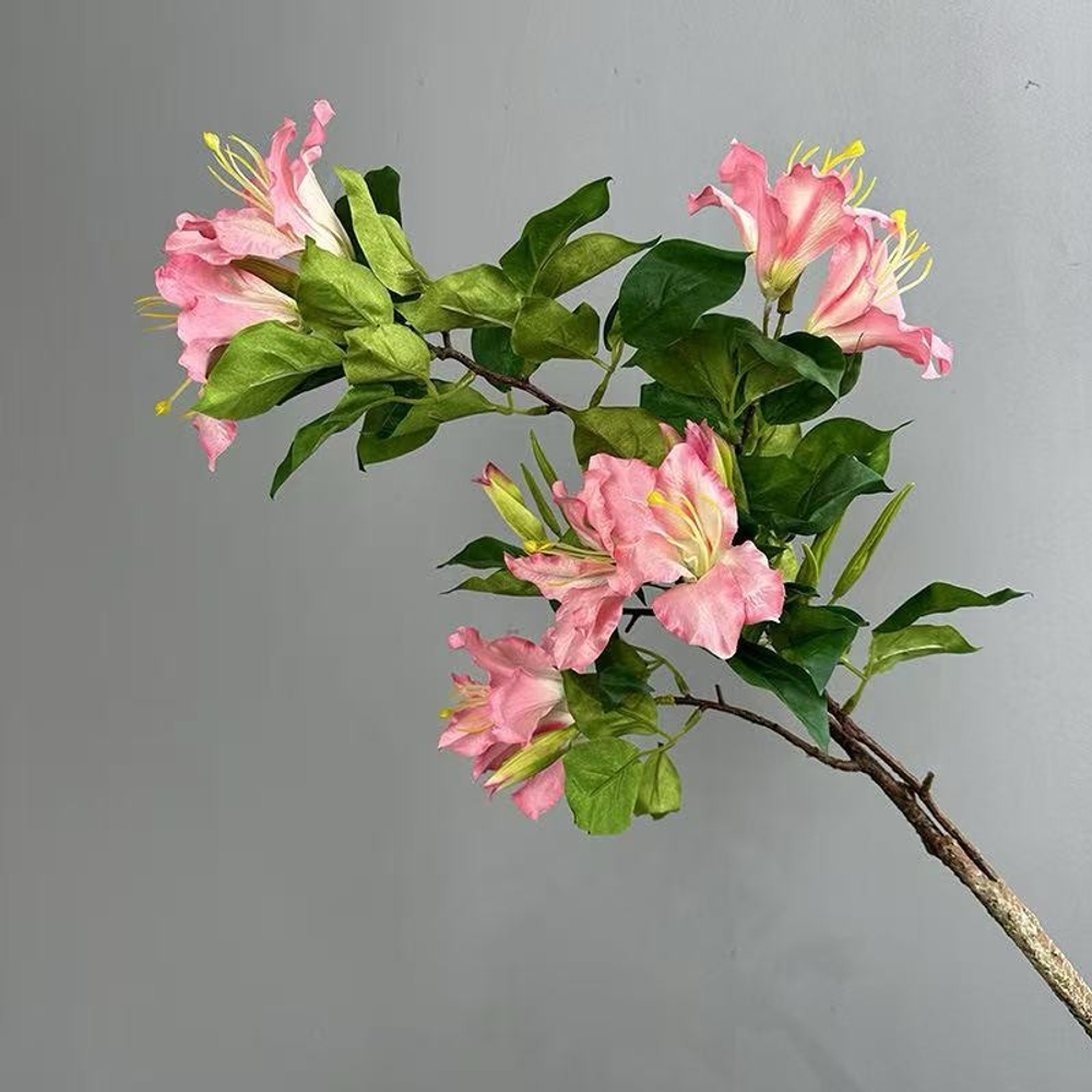 Альстромерия розовая