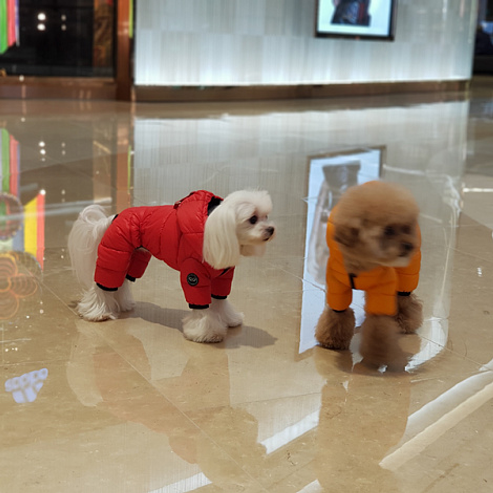 552 PA-OW Комбинезон "AIR 3", для девочек