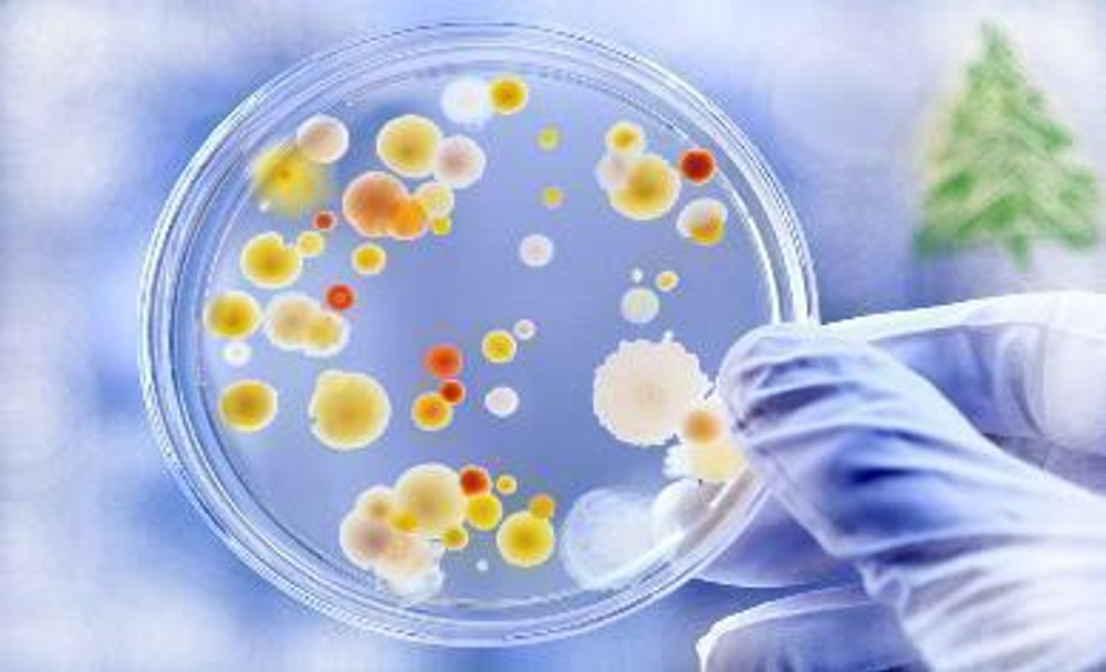 Набор учебный для выращивания бактерий