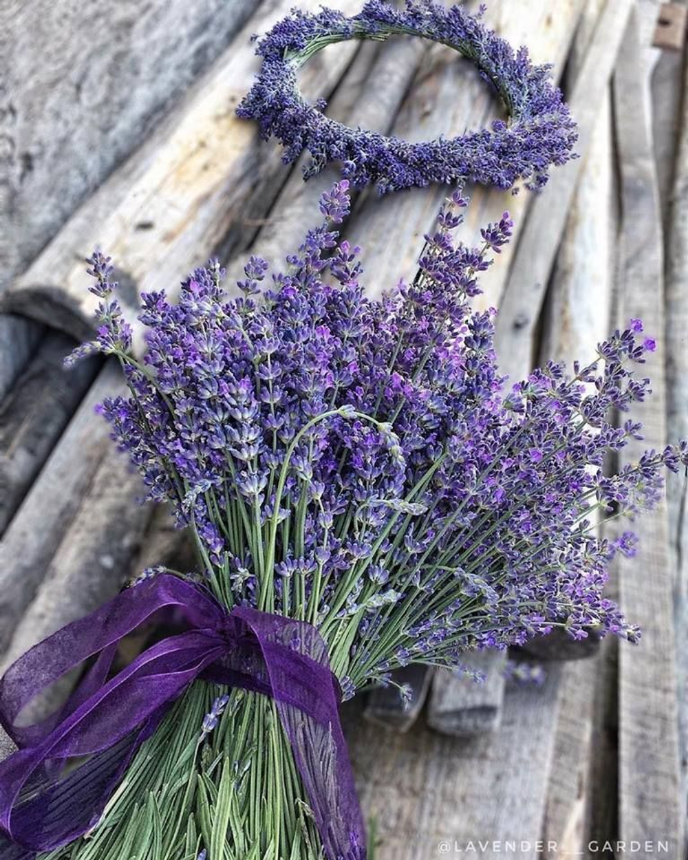 LAVANDER ABS 50% in TEC / ЛАВАНДА абсолют CAS 90063-37-9