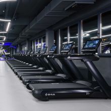 Профессиональная беговая дорожка SHUA SH-T8919T22 (21,5&quot; экран)
