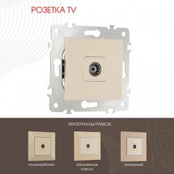 ТВ-розетка без рамки Arte Milano am-203 203.43-1.shampan