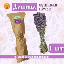 Душица, пучок.